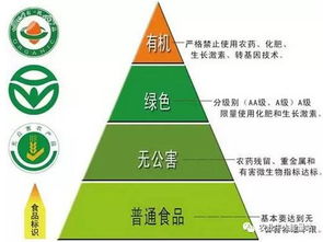 政策重磅！決定農化行業未來十年走向的國家級政策與人工智能雙創服務平臺